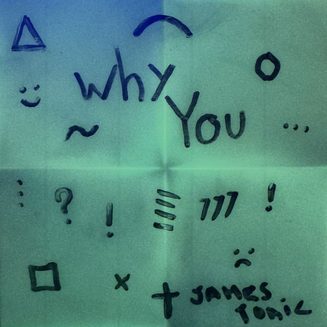 Album cover for Why You